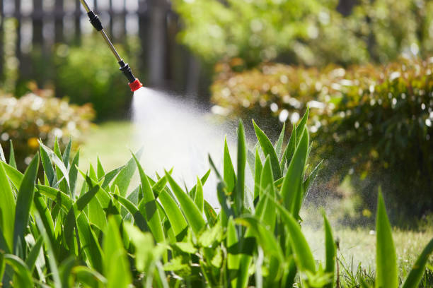 Tamper-Resistant Bait Stations for Rodents in Red Springs