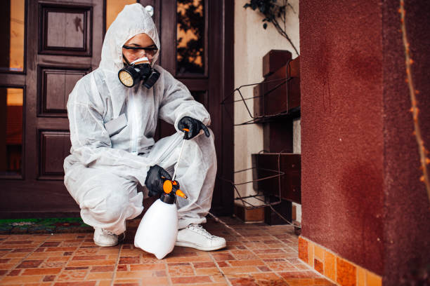 Attic and Crawl Space Rodent Treatment in Red Springs