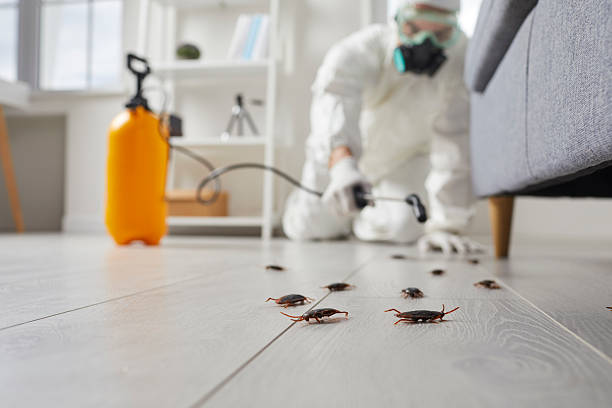Commercial Rodent Management in Red Springs